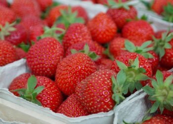 Meal Prep Magic: Tips for a Week of Healthy Eating