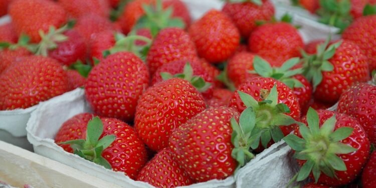 Meal Prep Magic: Tips for a Week of Healthy Eating