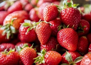 Detox Made Delicious: Smoothie Recipes for Every Taste