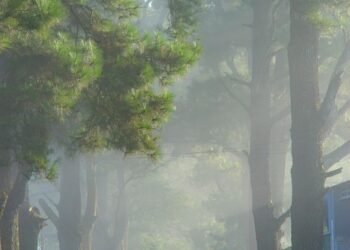 Chill Out: DIY Recipes for Your Favorite Refreshing Drinks