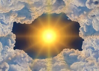 Layer It Up: The Secrets to a Picture-Perfect Smoothie Bowl