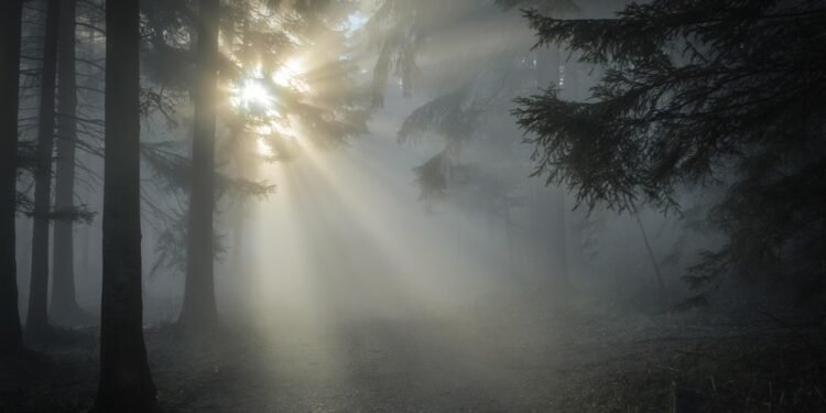 Morning Makeover: Transform Your Breakfast into a Health Powerhouse