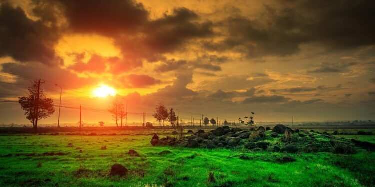 Boost Your Energy: Paleo Smoothies and Juices for a Healthy Start