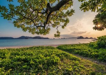 Nature’s Elixirs: The Health Benefits of Coconut Water