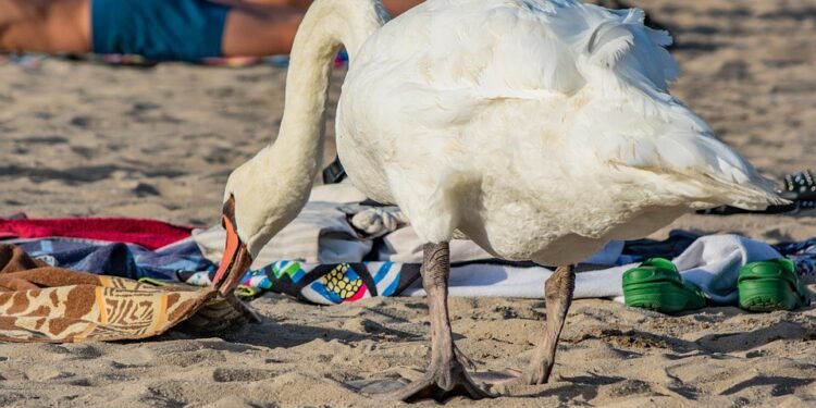 In a Pinch: Last-Minute Family Dinners That Are Sure to Please!