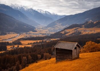 Air Fryer Magic: Transform Your Favorite Dishes into Crispy Delights