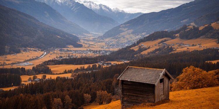 Air Fryer Magic: Transform Your Favorite Dishes into Crispy Delights