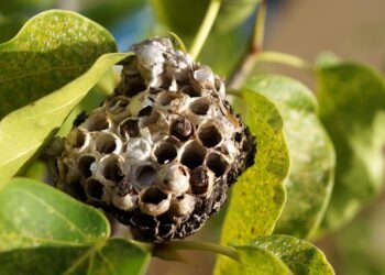 Feel free to mix and match or modify these to best suit your article’s focus!