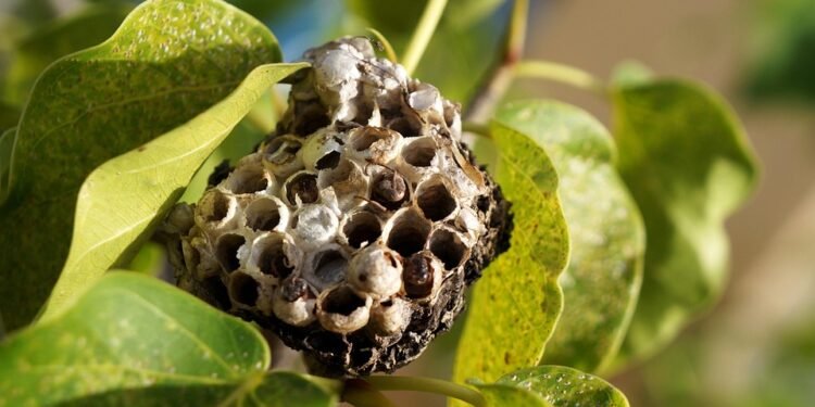 Feel free to mix and match or modify these to best suit your article’s focus!