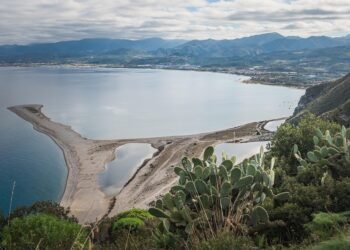 Holiday Cookie Extravaganza: Recipes to Wow Your Guests