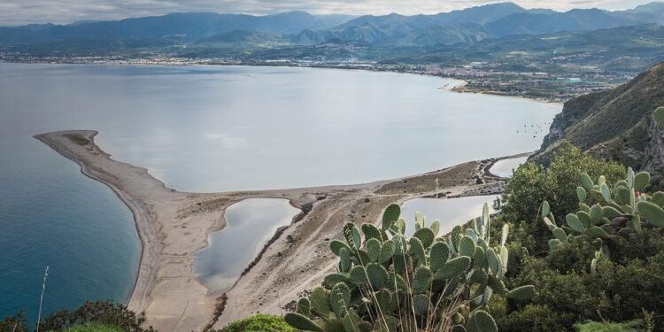 Holiday Cookie Extravaganza: Recipes to Wow Your Guests