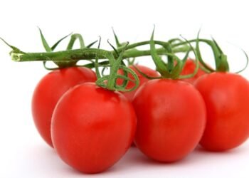 Nutrition Meets Aesthetics: Why Smoothie Bowls are Taking Over Instagram