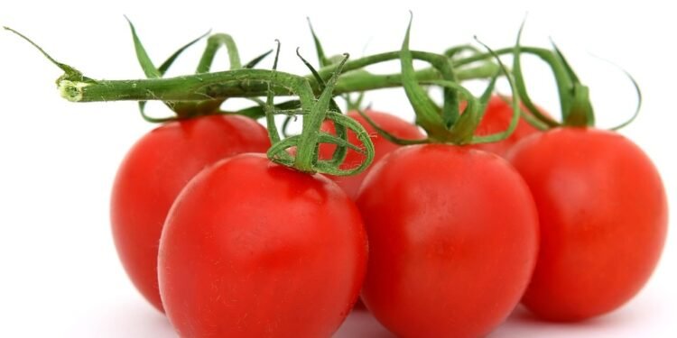 Nutrition Meets Aesthetics: Why Smoothie Bowls are Taking Over Instagram