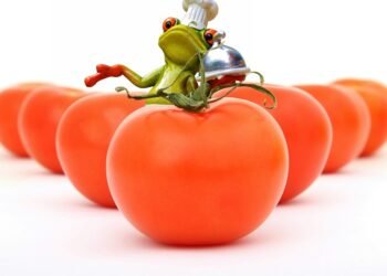 No Cook, No Problem: Simple Lunch Ideas Under 10 Minutes!