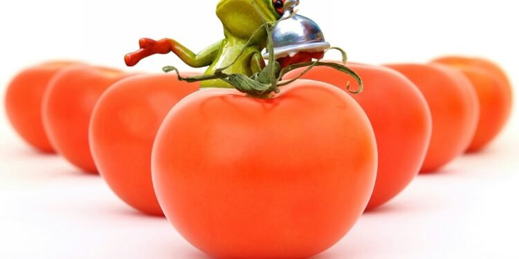 No Cook, No Problem: Simple Lunch Ideas Under 10 Minutes!