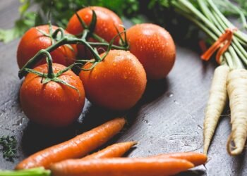 Nutritious Nibbles: Protein-Packed Smoothies for Fitness Enthusiasts