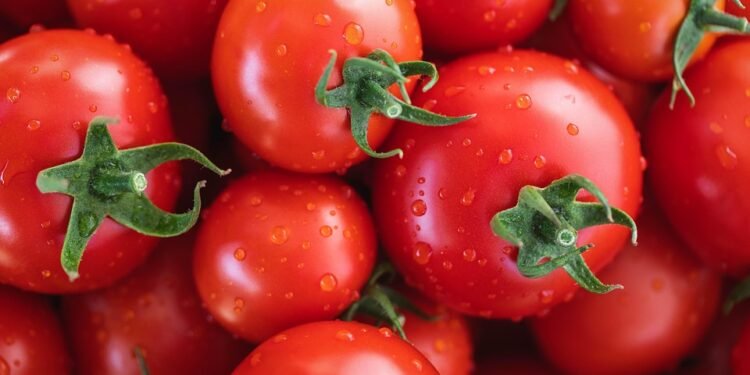 Healthy, Hearty, and Hasty: Weeknight Dinners Made Easy with an Air Fryer