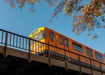 Elevate Your Dessert Game with These Gourmet Cheesecake Ideas