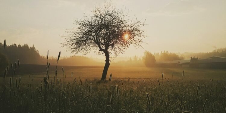 Fry-Day Mornings: Creative and Tasty Air Fryer Breakfast Inspirations