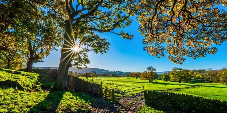From Farm to Fryer: Fresh Ingredients for Your Healthy Dinner Menu