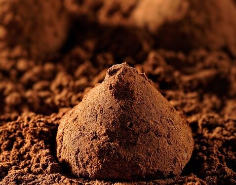 Deliciously Low-Carb: 10 Healthy Recipes to Savor