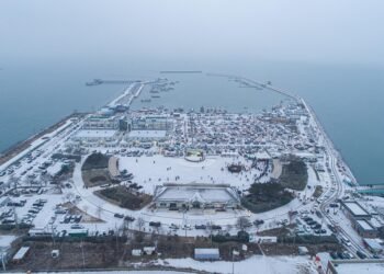 The Ultimate Cookie Bake-Off: Battle of the Best Recipes!