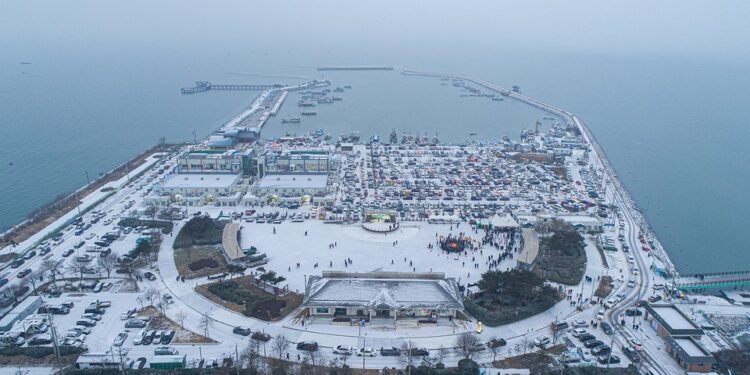 The Ultimate Cookie Bake-Off: Battle of the Best Recipes!