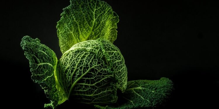 Green and Lean: How Smoothies Can Support Your Weight Loss Journey