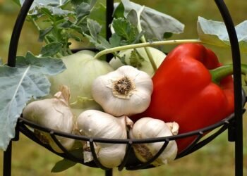Family-Friendly Healthy Meals: Making Nutrition Fun for Everyone