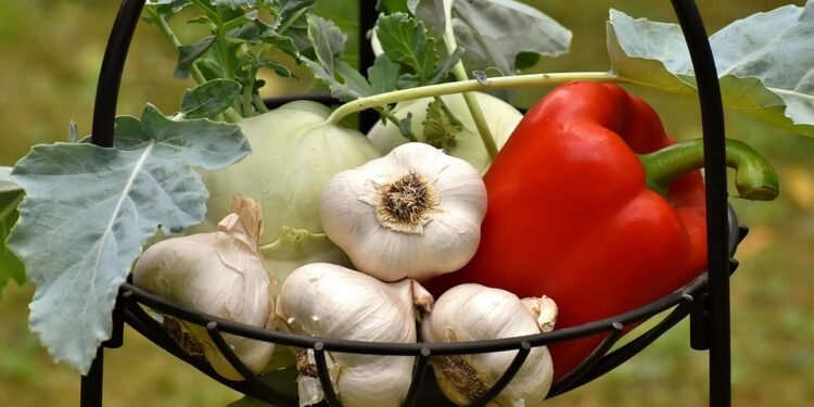 Family-Friendly Healthy Meals: Making Nutrition Fun for Everyone