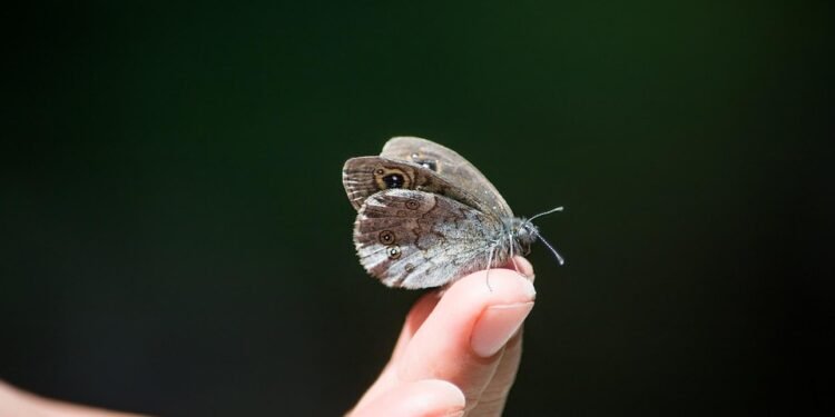 Feel free to mix and match or adjust them to better suit your content!