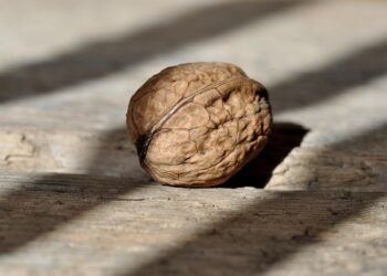 Healthy and Hearty: Satisfying Low-Carb Dishes for Your Family