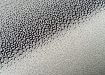 Glaze and Amaze: Top 5 Unique Donut Recipes to Try Right Now