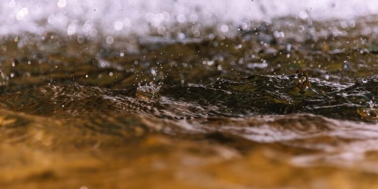 Liquid Wellness: Crafting the Perfect Post-Workout Drink