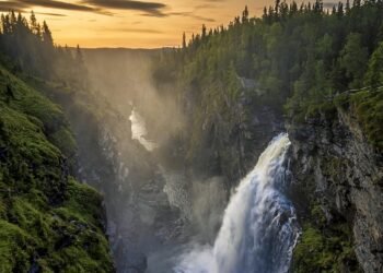 In a Rush? Here Are 5 One-Pan Meals You'll Love!