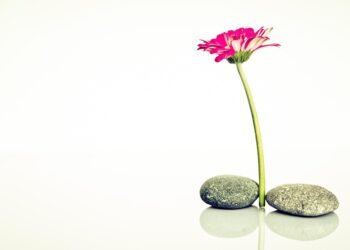 Feel free to mix and match ideas or modify them to suit your audience!