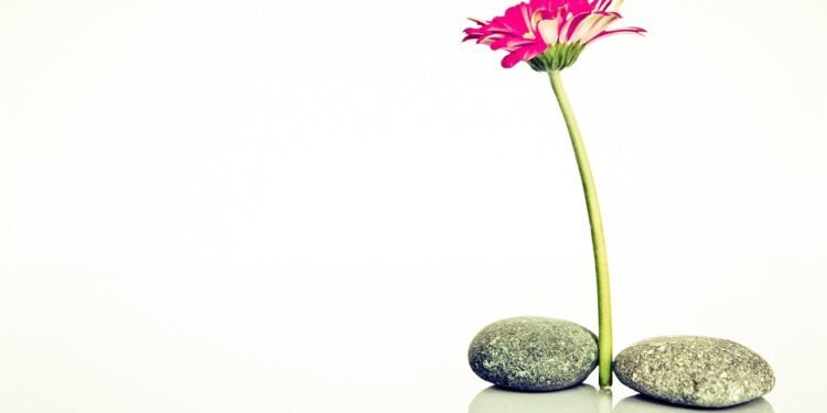 Feel free to mix and match ideas or modify them to suit your audience!