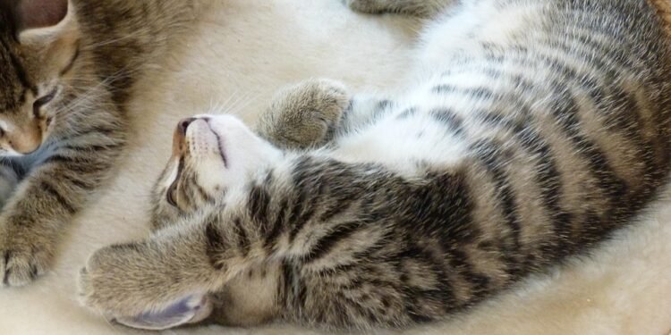 Feel free to mix and match elements or tweak them to better fit your style!